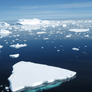 Antártida: un estudio alertó que el hielo marino alcanzó su mínimo histórico