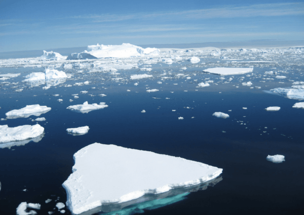 Antártida: un estudio alertó que el hielo marino alcanzó su mínimo histórico