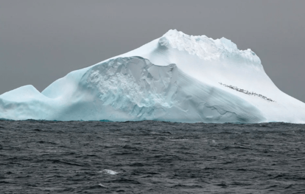 Un estudio inédito detectó un importante crecimiento de los lagos en la Antártida, pero ¿qué lo genera?