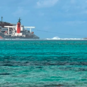 Se hundió un buque de carga con casi 800 toneladas de gasoil y temen por una contaminación de las aguas