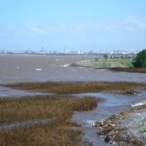 Una marca de indumentaria se une a iniciativa que busca colaborar con la limpieza Del Río de la Plata