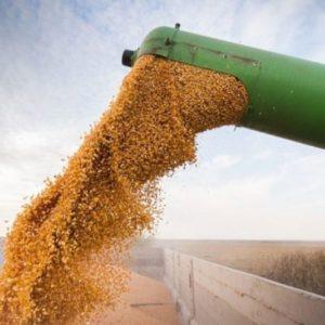 Agro sostenible: la transformación digital, clave para ser más rentables y sustentables
