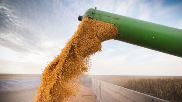 Récord histórico del sector agroexportador: liquidaron casi u$s 3.000 millones en marzo