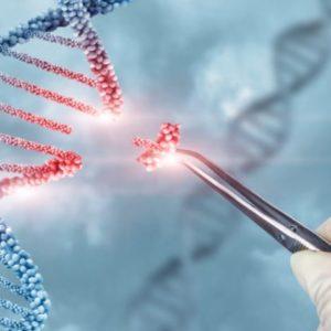 Histórico: logran establecer la primera secuencia completa del genoma humano
