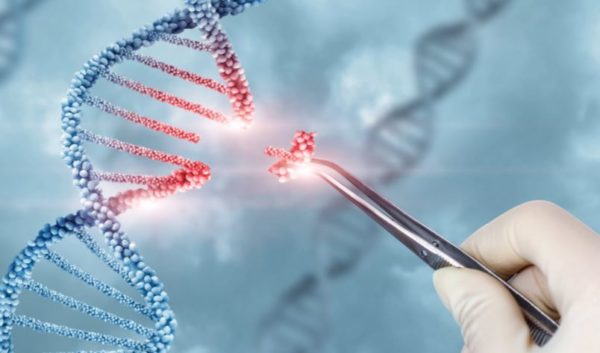 Histórico: logran establecer la primera secuencia completa del genoma humano