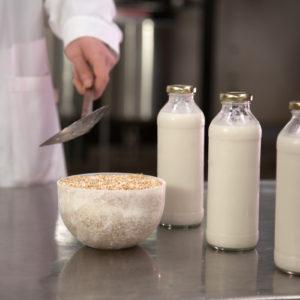 Crean una súper bebida proteica a base de un ingrediente milenario, ¿de qué se trata?