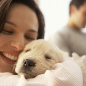 ¿Licencia laboral por adoptar perros y gatos? Esta es la primera empresa en Argentina en implementarla
