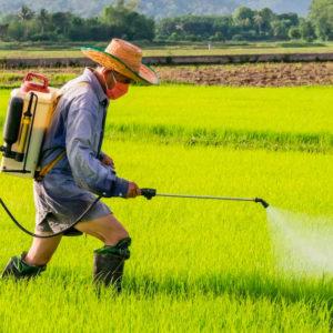 Lobos: apareció un agroquímico en el agua que fue utilizado por Estados Unidos en la guerra de Vietnam