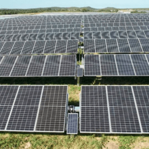 En Córdoba construirán un Parque Solar con capacidad para dar energía a 30 mil hogares