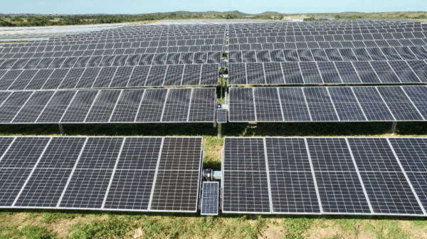 En Córdoba construirán un Parque Solar con capacidad para dar energía a 30 mil hogares