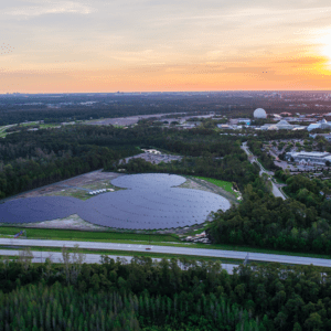 Día Mundial del Medio Ambiente: Disney celebrará con contenidos e iniciativas sobre el cuidado del planeta