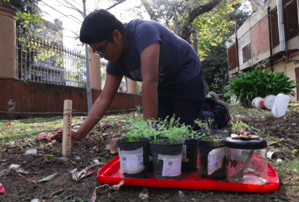 La nueva iniciativa de la Ciudad para que docentes y alumnos puedan sembrar sus propias verduras