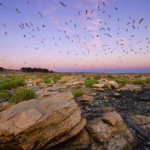 Aprobaron la creación del Parque Nacional Islote Lobos, ¿dónde queda?