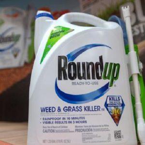 Revés judicial para Bayer: la Corte Suprema de EEUU confirmó la condena a Monsanto por el uso de glifosato