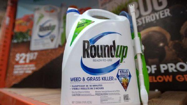 Revés judicial para Bayer: la Corte Suprema de EEUU confirmó la condena a Monsanto por el uso de glifosato