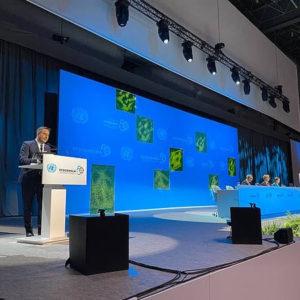 Estocolmo+50: Cabandié destacó en la cumbre ambiental la necesidad de «financiamiento internacional»