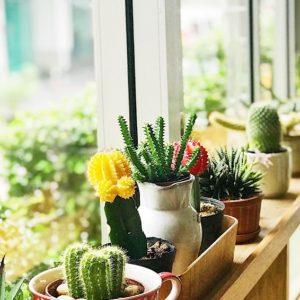 Casa sustentable: tips para aprovechar la luz solar al máximo