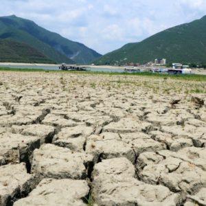 En Argentina, casi 23 millones de hectáreas se encuentran en condiciones de sequía severa por falta de lluvias