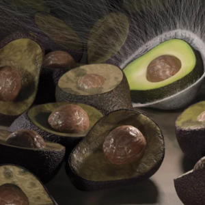 Descubrieron un material a base de plantas que podría reemplazar al plástico en envases de alimentos