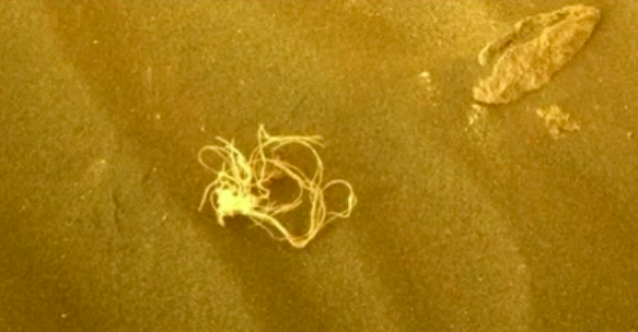 En imágenes: la NASA descubrió restos de una soga enredada en Marte, ¿de dónde salió?