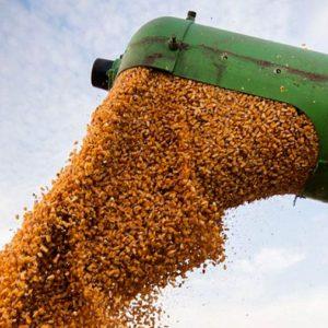 La AFIP implementará herramienta para limitar los movimientos no registrados en el traslado de granos