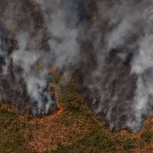 El Gobierno prorrogó por un año la emergencia ígnea en todo el país