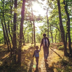 Declaran un derecho humano el acceso a un ambiente limpio y saludable