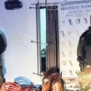 La Matanza: desmantelaron un matadero clandestino que vendía hamburguesas y carne picada de caballo