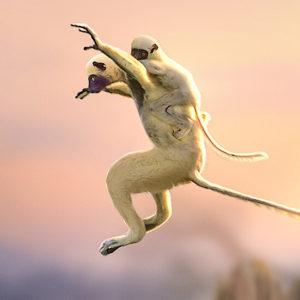 Qué ver en Netflix 2022: series y películas nuevas sobre animales, naturaleza y medioambiente