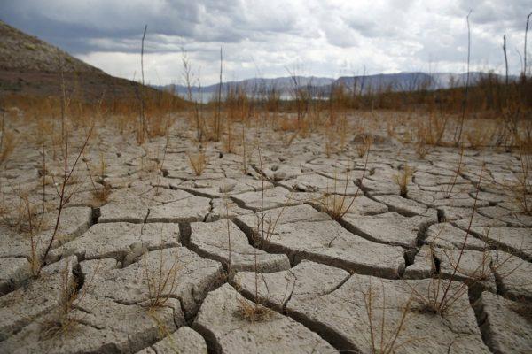 Informe: el 90% de los encuestados cree que el cambio climático impacta en la Argentina
