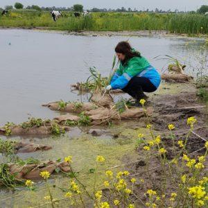La nueva estrategia del Gobierno sobre biodiversidad