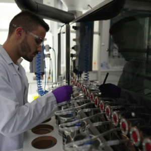 Massalin Particulares presentó el Reporte de Sostenibilidad 2021