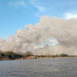 Delta del Paraná: desde 2020 ya se quemaron más de 800 mil hectáreas, ¿qué hace Cabandié para evitar este problema?