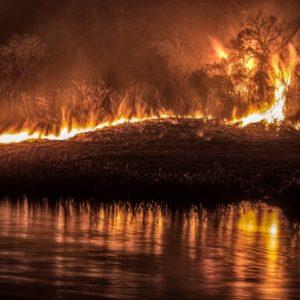 Delta en llamas: Cabandié y Ambiente, ejes de la polémica por proliferación de incendios y la Ley de Humedales trunca