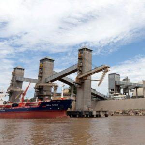 Exportación sustentable: 3 productos argentinos que pisan fuerte en el mercado europeo