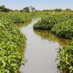 La millonaria inversión de esta provincia para implementar un plan ambiental en 40 municipios