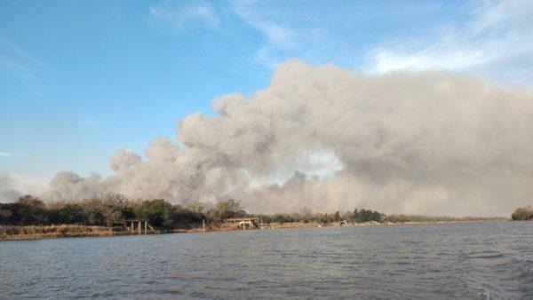 Incendios en el Delta: denuncian que ya se quemaron 10 mil hectáreas