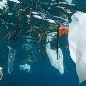 Sin acuerdo, la discusión sobre el tratado mundial para salvar océanos del plástico continuará en 2023