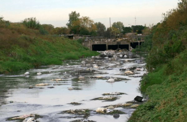 Investigan a tres empresas cárnicas por la contaminación del río Reconquista