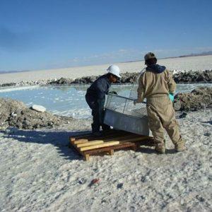 Encuentran litio en esta provincia argentina y auguran “grandes posibilidades de inversión”