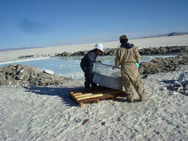 Encuentran litio en esta provincia argentina y auguran «grandes posibilidades de inversión»