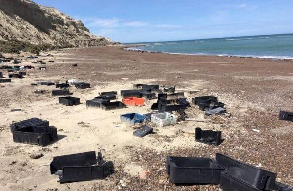 La industria pesquera, responsable de los desechos encontrados a orillas de Península Valdés