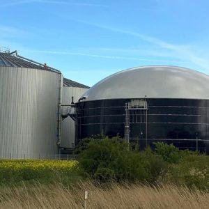 Una importante empresa argentina avanza con las primeras exportaciones de bioenergía al mundo