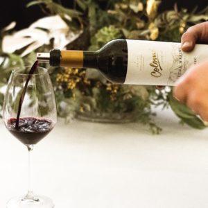 Otro grupo vitivinícola se suma a la familia de los vinos sustentables