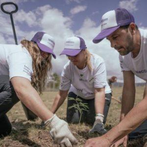 Un gigante de las comunicaciones aportó 6.500 árboles nativos para contribuir con la reforestación
