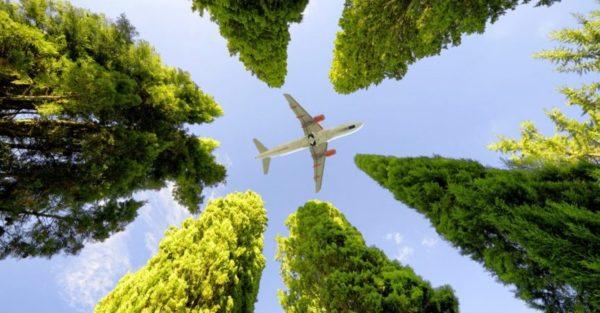 Según informe, la sustentabilidad estuvo entre las prioridades de la aviación en 2022