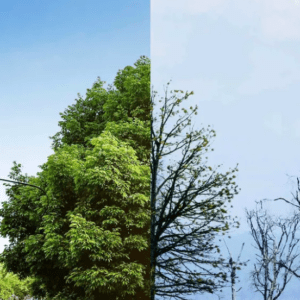 La novedosa forma (¡pero peligrosa!) que tiene una empresa para frenar el cambio climático