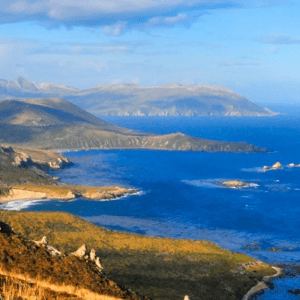 Ushuaia: En medio de los incendios, aprobaron por ley proteger al mayor reservorio de carbono del país