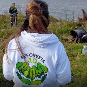 Lanzan una campaña para reforestar la provincia de Corrientes, ¿con NFT?