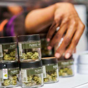El consumo de cannabis ya es legal en dos ciudades de este país europeo